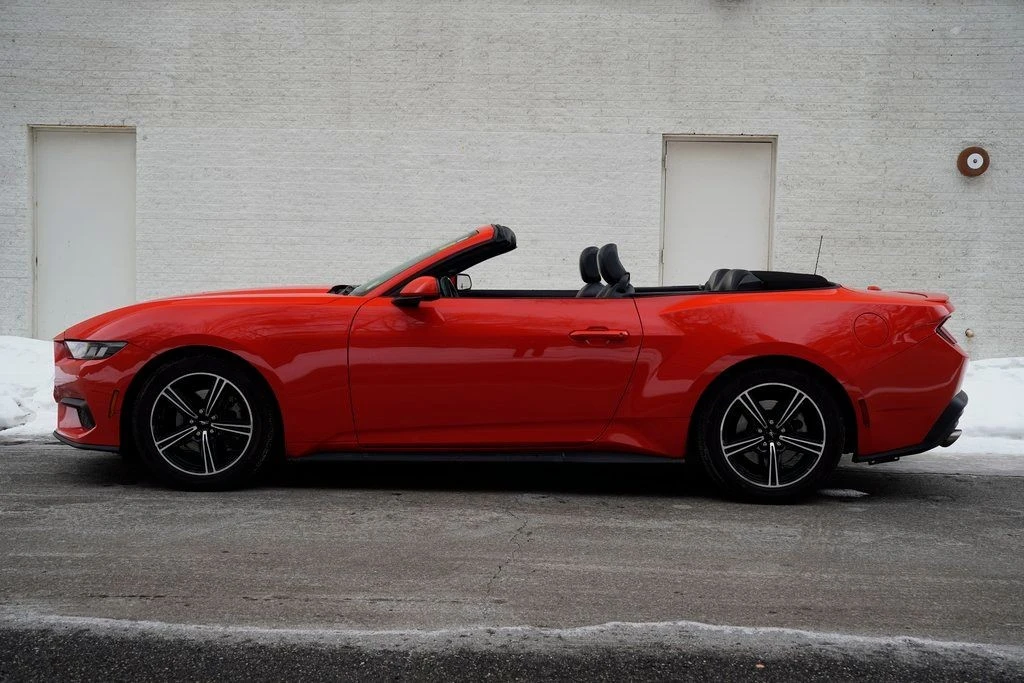2024 Ford S650 Mustang - Image 3 of 12