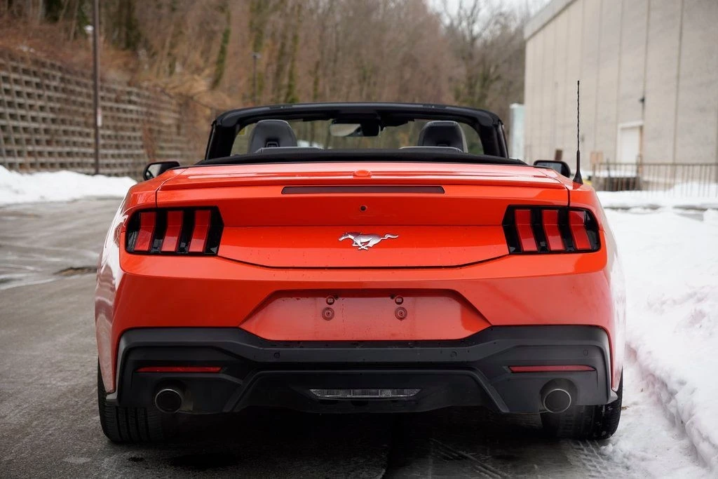2024 Ford S650 Mustang - Image 8 of 12