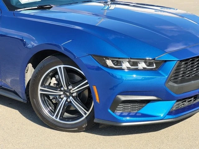 2024 Ford S650 Mustang - Image 3 of 12