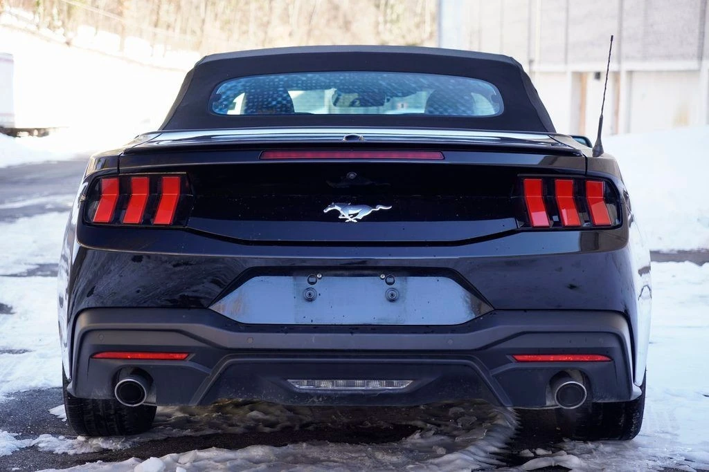 2024 Ford S650 Mustang - Image 8 of 12