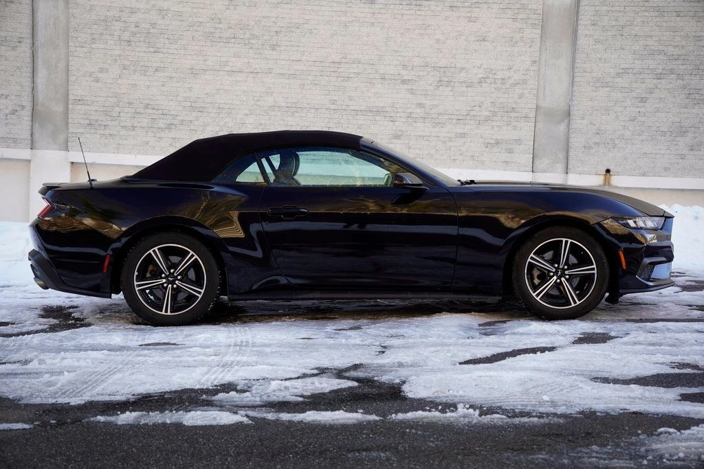 2024 Ford S650 Mustang - Image 12 of 12