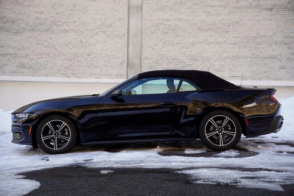 2024 Ford S650 Mustang - Image 4 of 12
