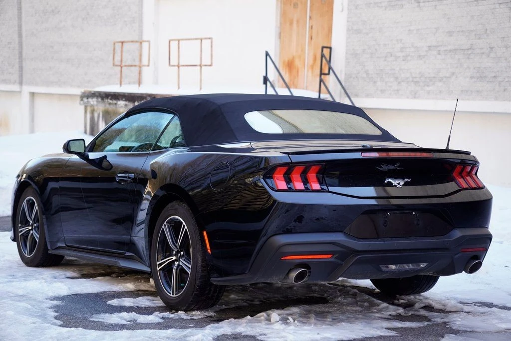 2024 Ford S650 Mustang - Image 6 of 12
