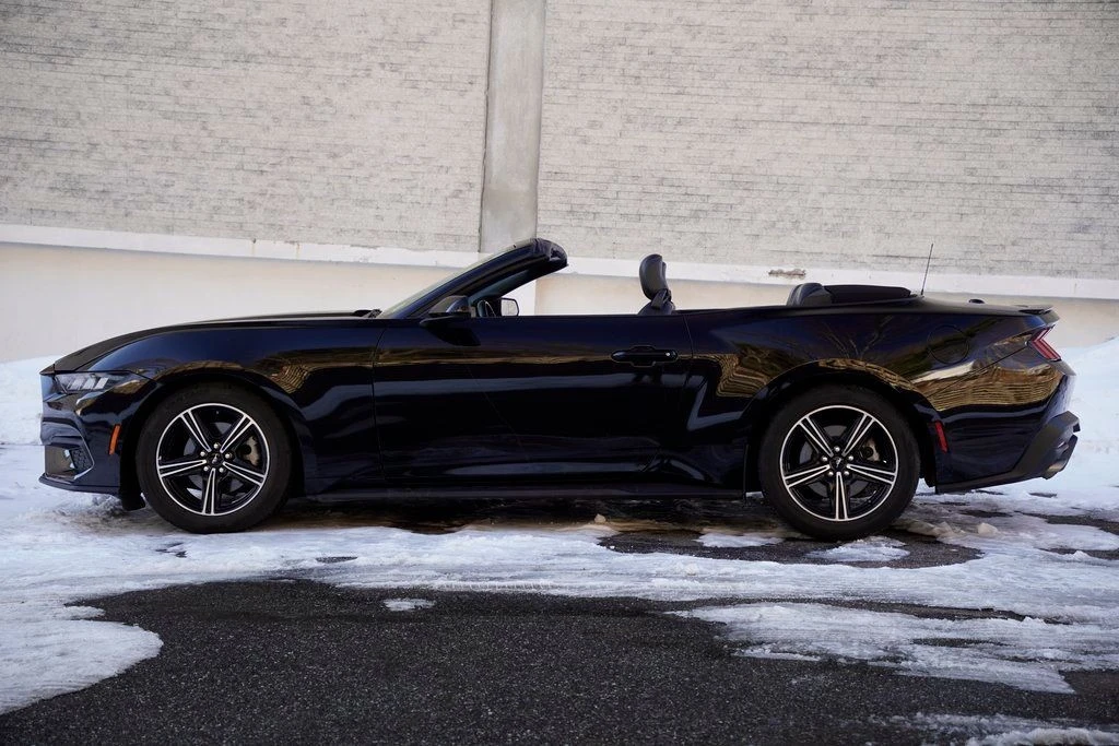 2024 Ford S650 Mustang - Image 3 of 12
