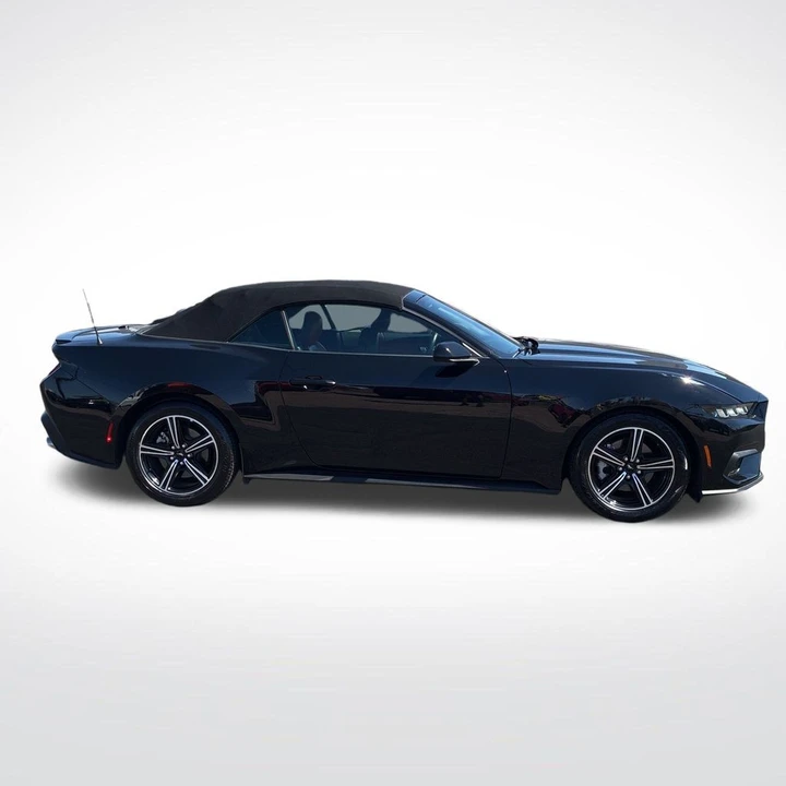 2024 Ford S650 Mustang - Image 2 of 6