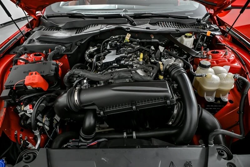 2024 Ford S650 Mustang - Image 14 of 21