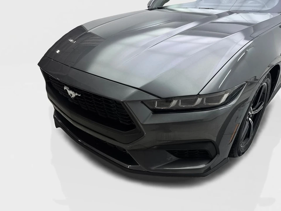 2024 Ford S650 Mustang - Image 16 of 21
