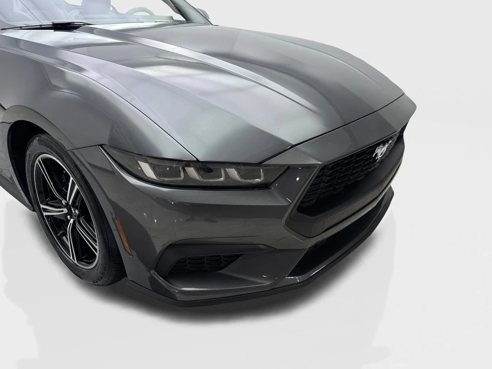 2024 Ford S650 Mustang - Image 17 of 21