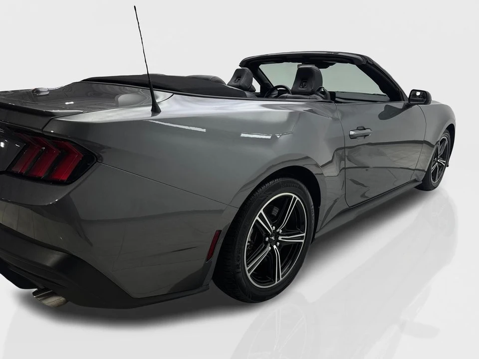 2024 Ford S650 Mustang - Image 13 of 21