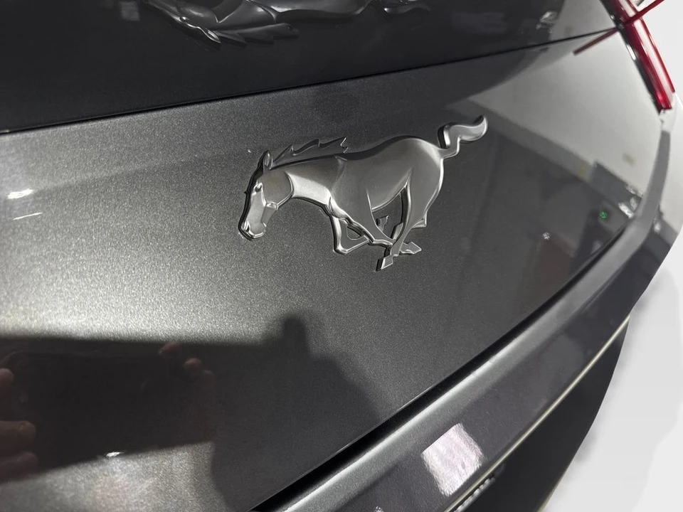 2024 Ford S650 Mustang - Image 20 of 21