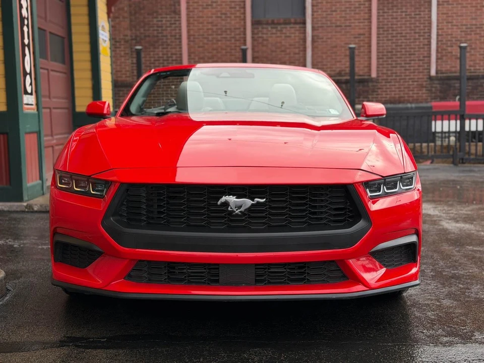 2024 Ford S650 Mustang - Image 16 of 21