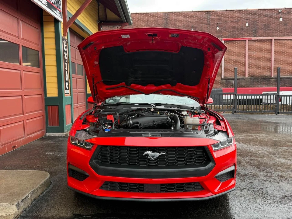 2024 Ford S650 Mustang - Image 30 of 31