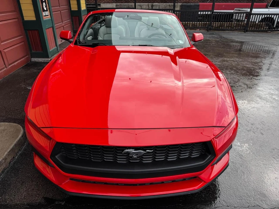 2024 Ford S650 Mustang - Image 17 of 21