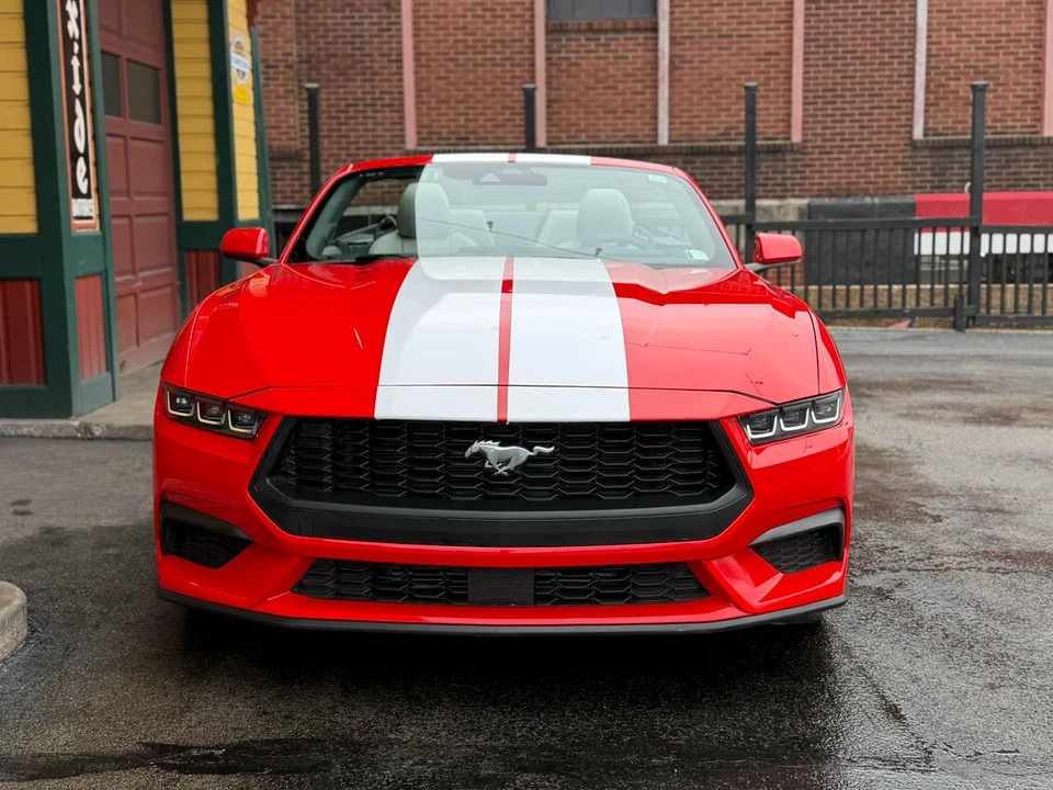 2024 Ford S650 Mustang - Image 19 of 21
