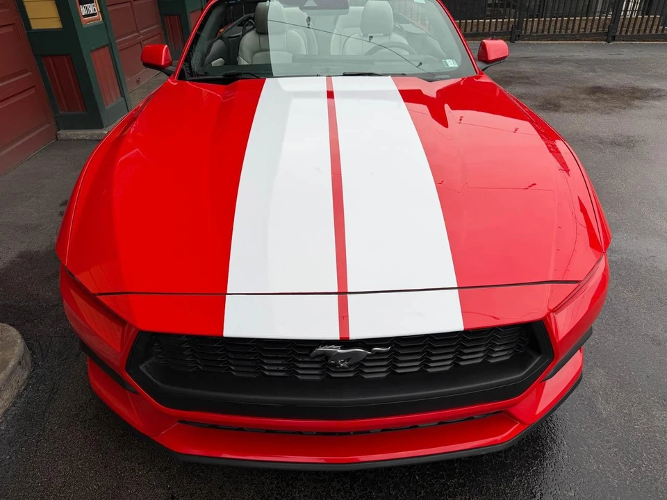 2024 Ford S650 Mustang - Image 20 of 21