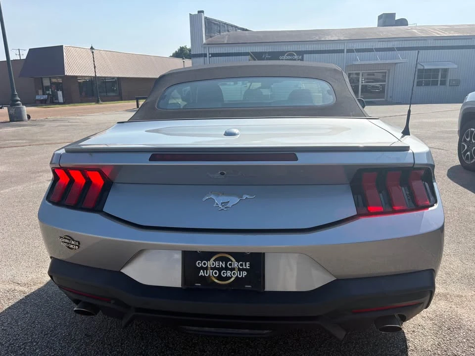 2024 Ford S650 Mustang - Image 5 of 10