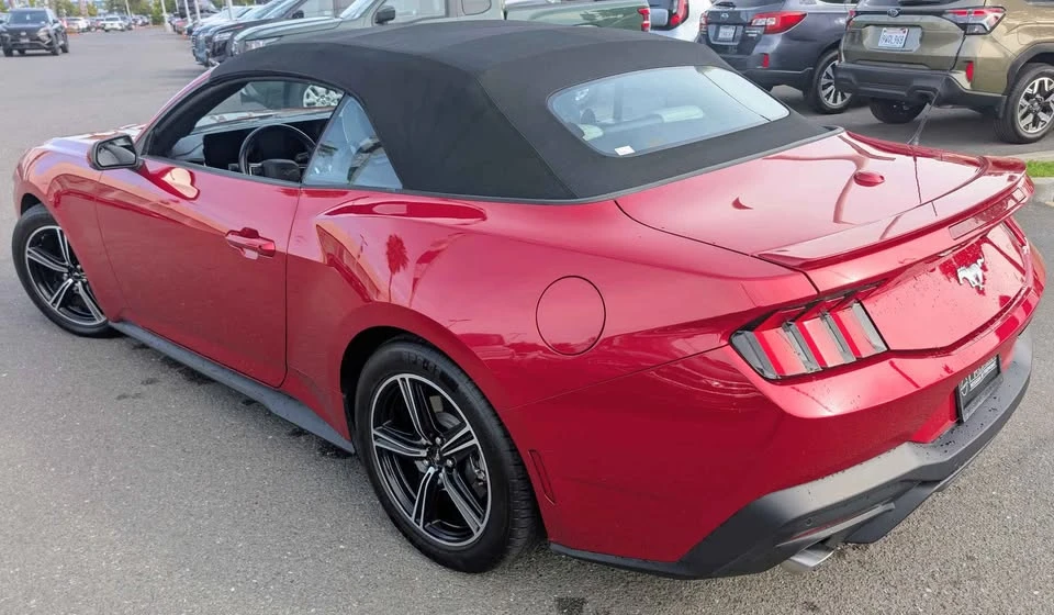 2024 Ford S650 Mustang - Image 5 of 11