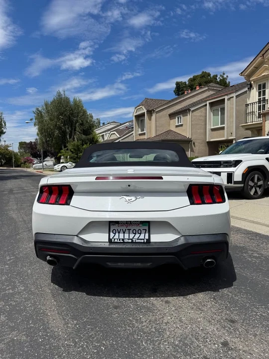 2024 Ford S650 Mustang - Image 2 of 16