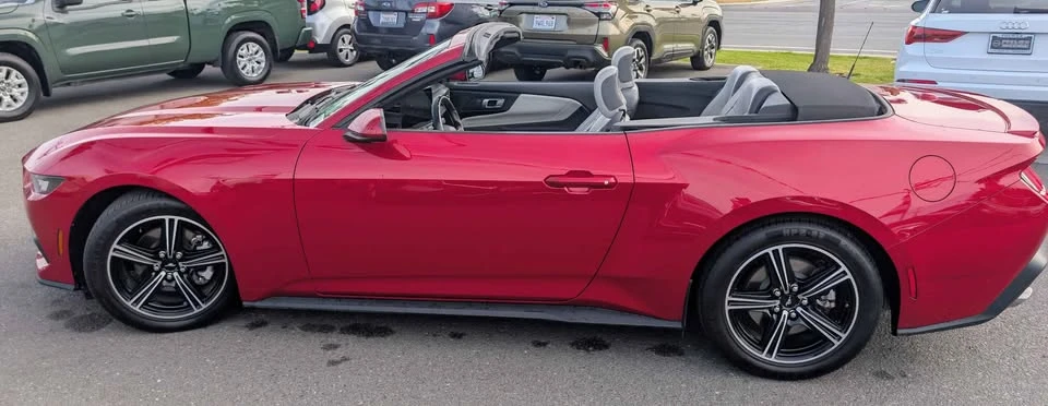 2024 Ford S650 Mustang - Image 10 of 11