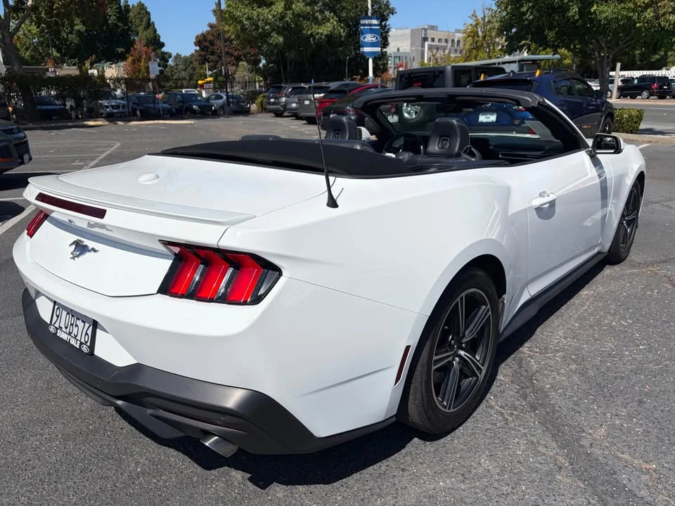 2024 Ford S650 Mustang - Image 5 of 11