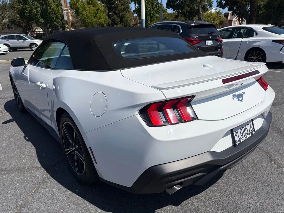2024 Ford S650 Mustang - Image 10 of 11