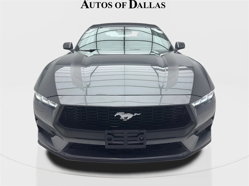 2024 Ford S650 Mustang - Image 5 of 12