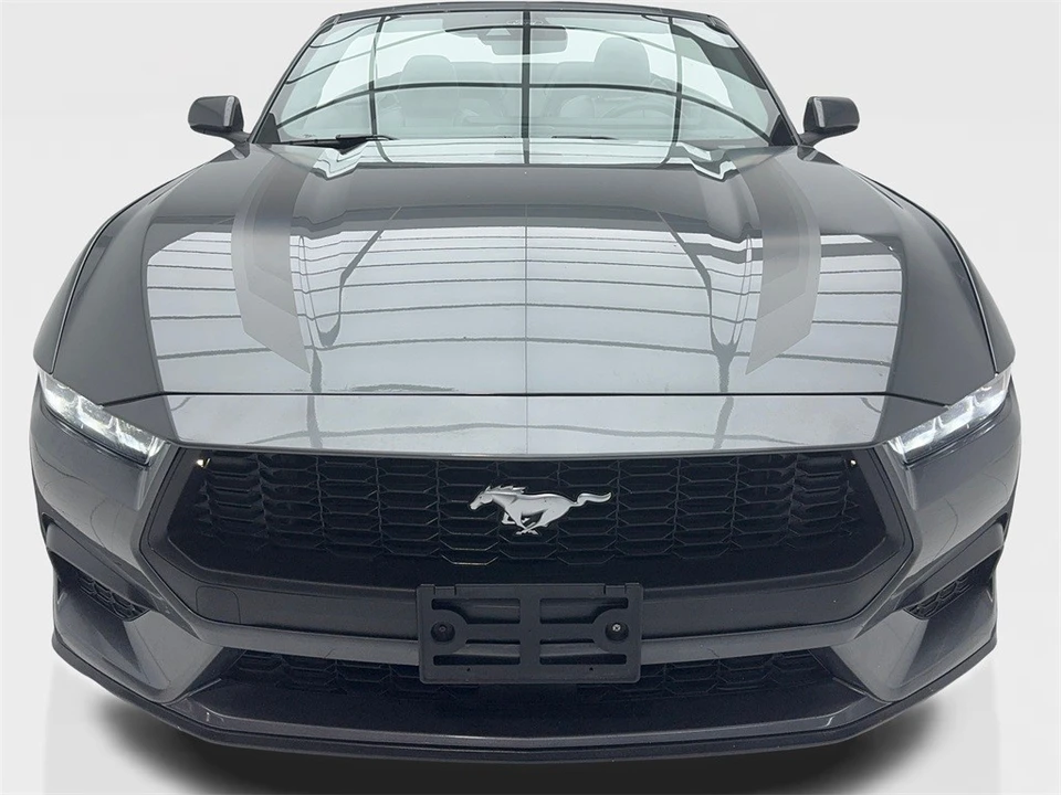 2024 Ford S650 Mustang - Image 7 of 12