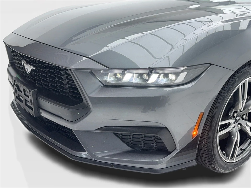 2024 Ford S650 Mustang - Image 6 of 12