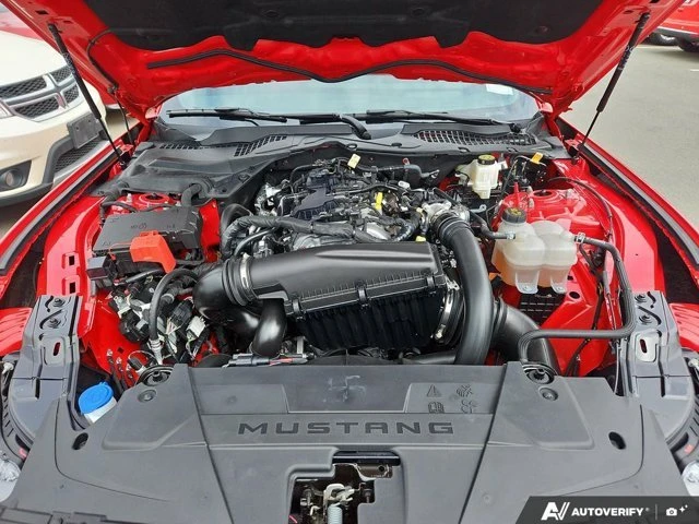 2024 Ford S650 Mustang - Image 10 of 20