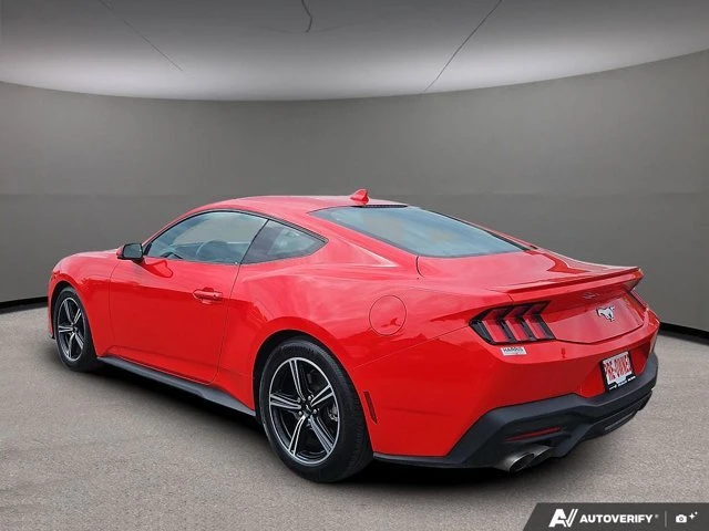 2024 Ford S650 Mustang - Image 4 of 20