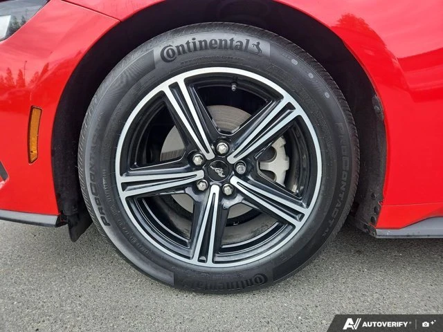 2024 Ford S650 Mustang - Image 6 of 20