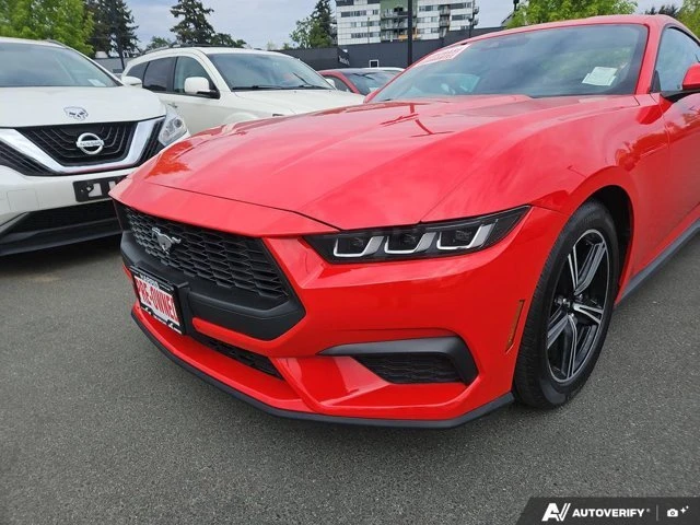 2024 Ford S650 Mustang - Image 8 of 20