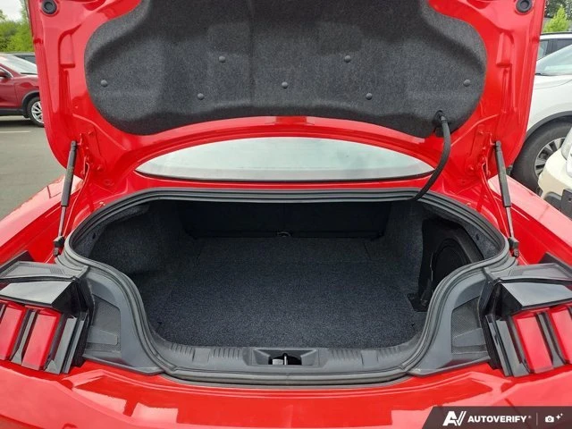 2024 Ford S650 Mustang - Image 12 of 20