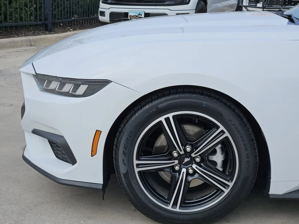 2024 Ford S650 Mustang - Image 6 of 18