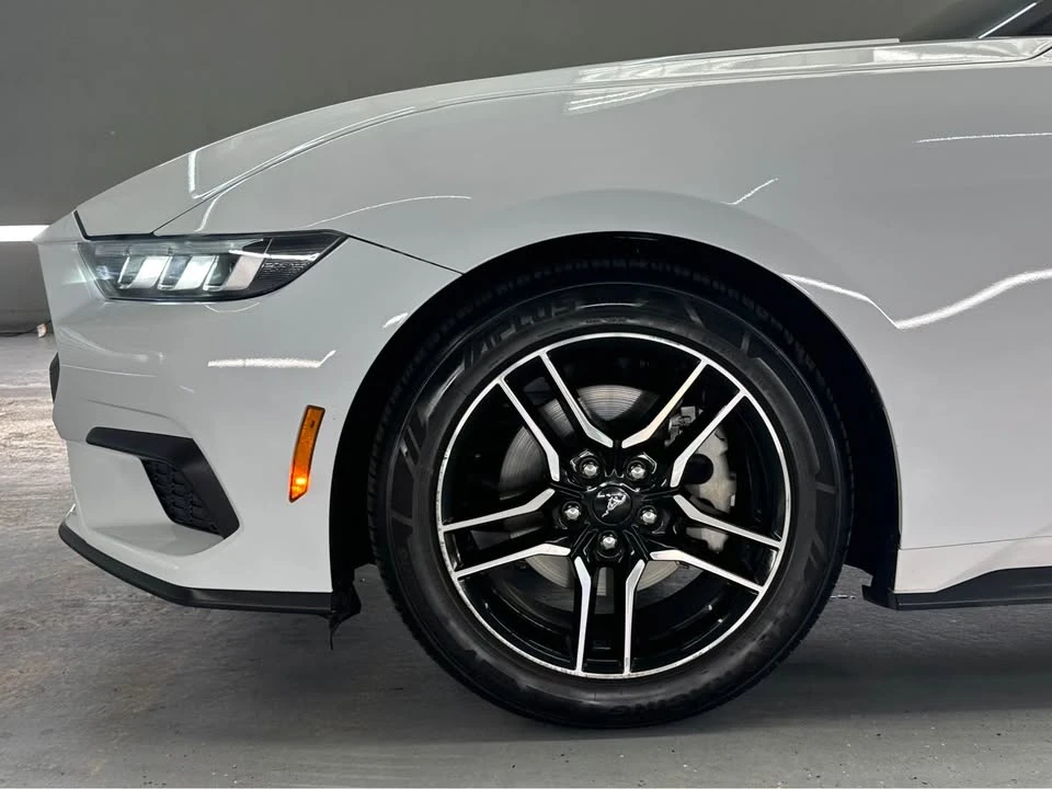 2024 Ford S650 Mustang - Image 5 of 20