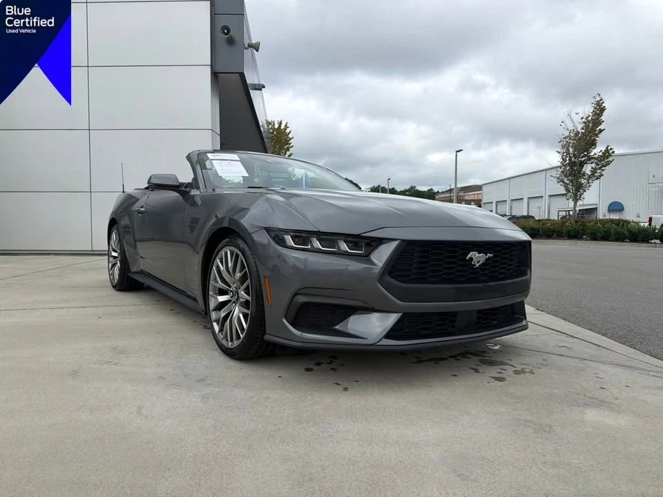 2024 Ford S650 Mustang - Image 2 of 3