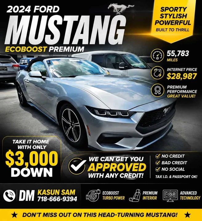 2024 Ford S650 Mustang - Image 2 of 10