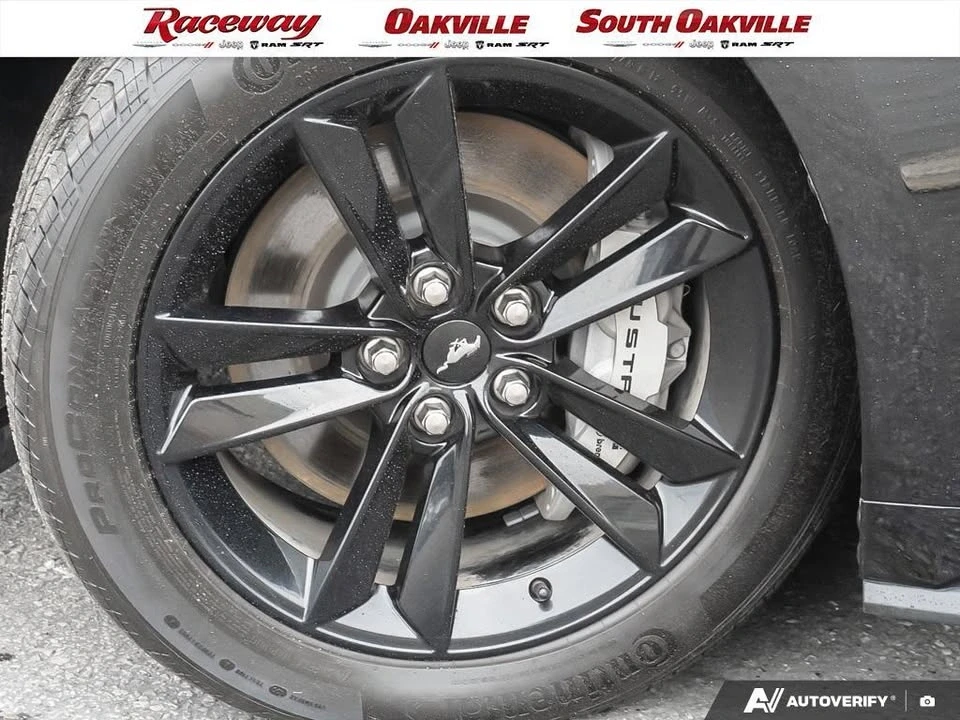 2024 Ford S650 Mustang - Image 15 of 15