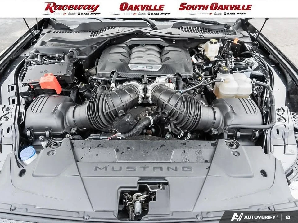 2024 Ford S650 Mustang - Image 14 of 15