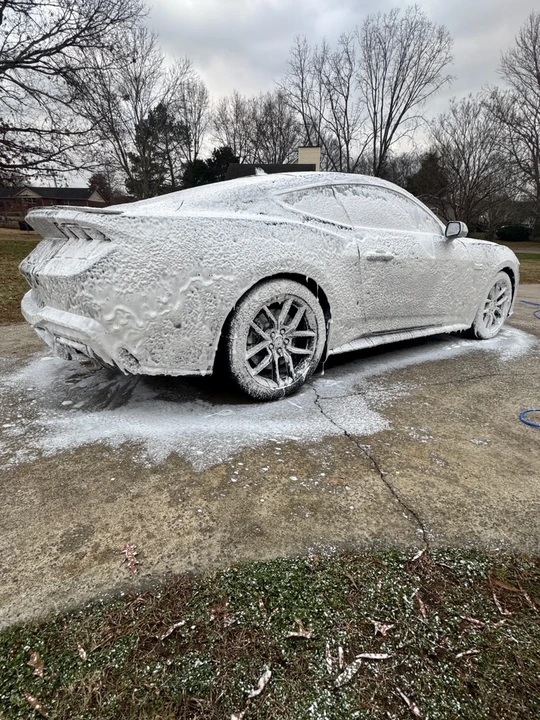 2024 Ford S650 Mustang - Image 17 of 17