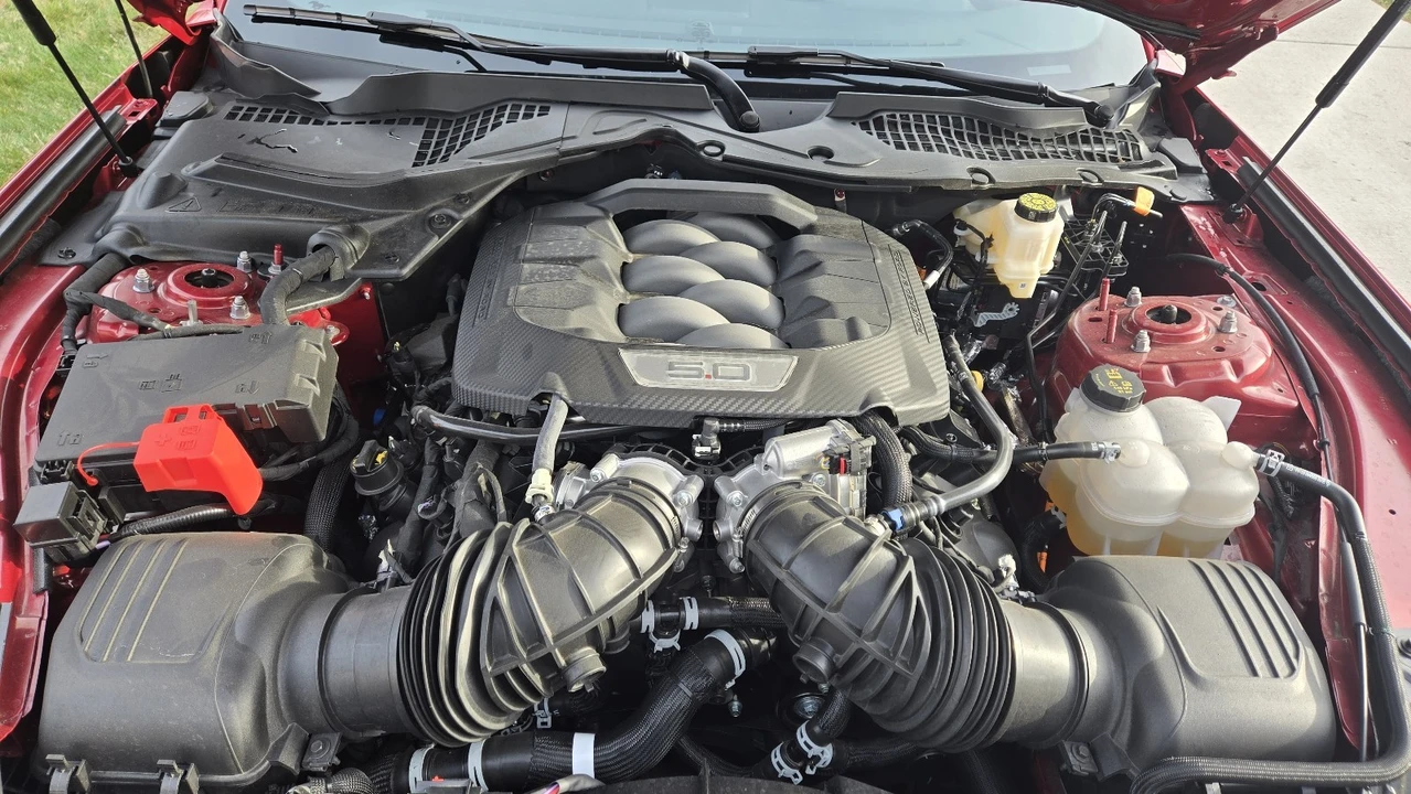 2024 Ford S650 Mustang - Image 11 of 11