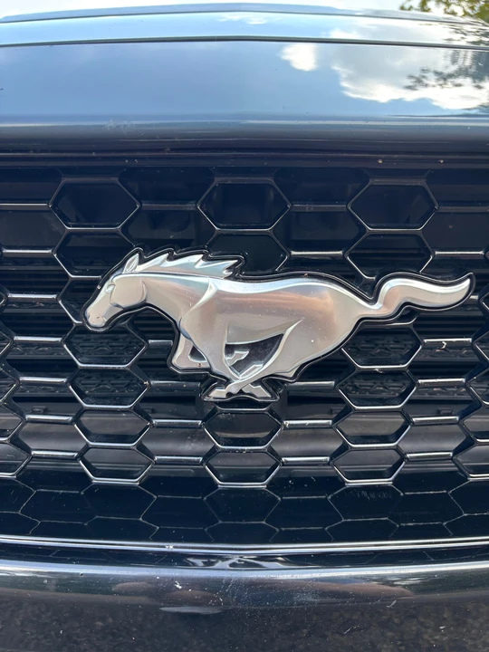 2024 Ford S650 Mustang - Image 26 of 31