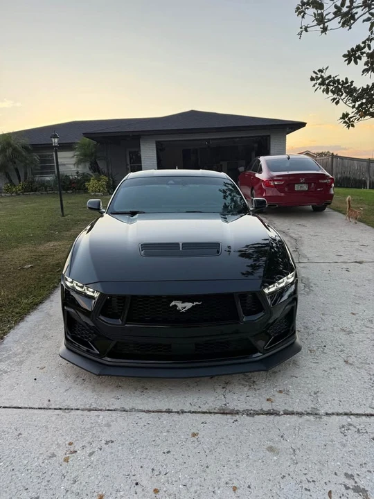 2024 Ford S650 Mustang - Image 2 of 10