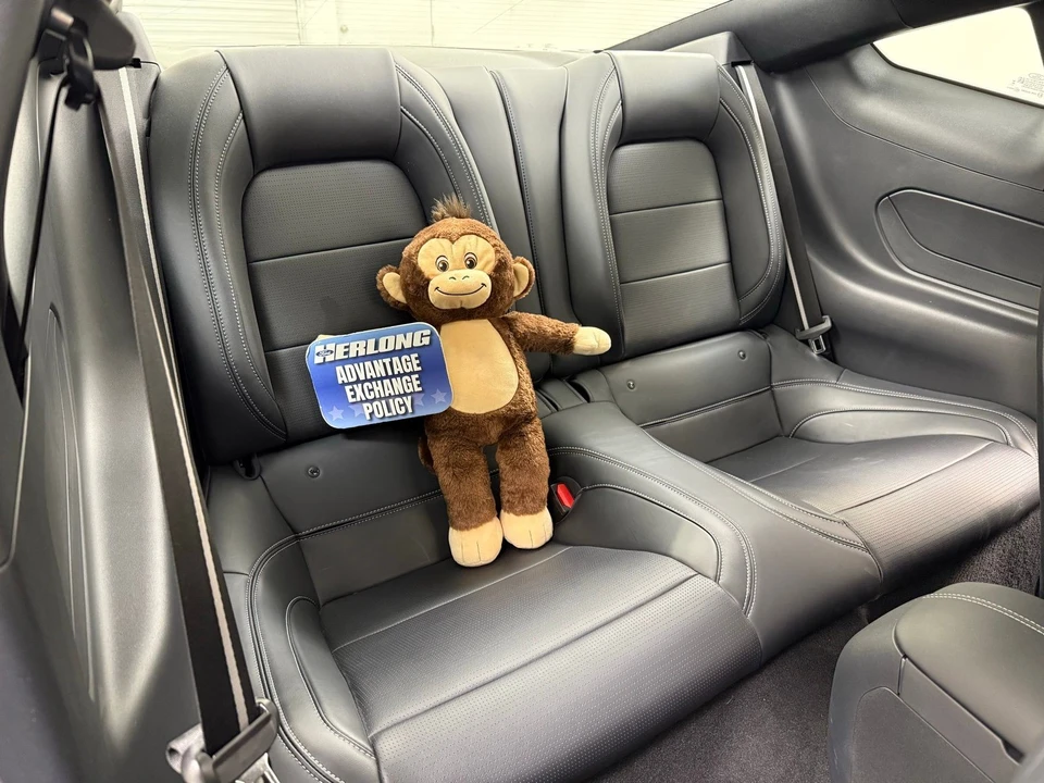 2024 Ford S650 Mustang - Image 24 of 29