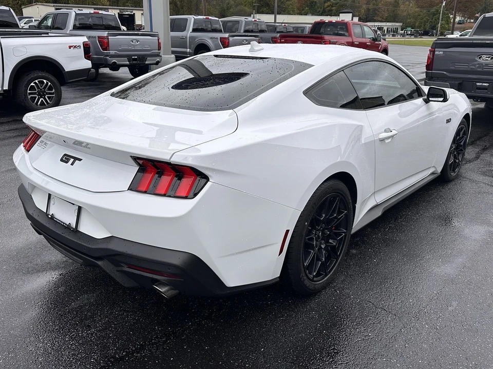 2024 Ford S650 Mustang - Image 6 of 12