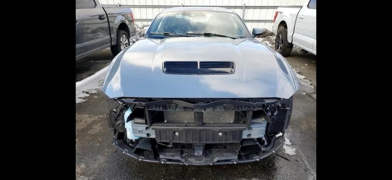 2024 Ford S650 Mustang - Image 11 of 18