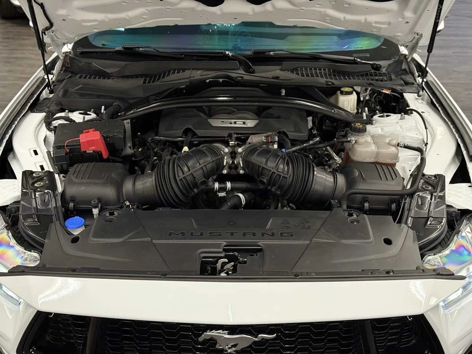 2024 Ford S650 Mustang - Image 19 of 21
