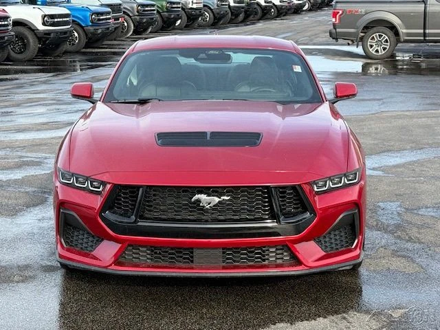 2024 Ford S650 Mustang - Image 10 of 12