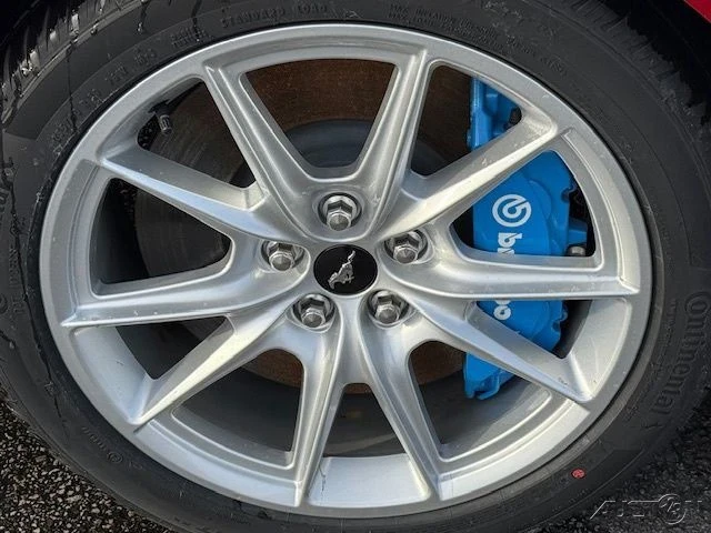 2024 Ford S650 Mustang - Image 11 of 21