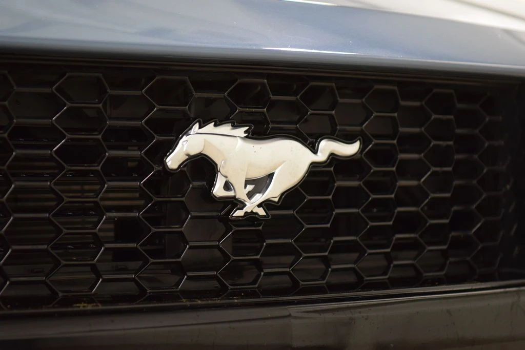 2024 Ford S650 Mustang GT - Image 14 of 31